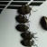 九香虫统货