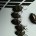 九香虫统货
