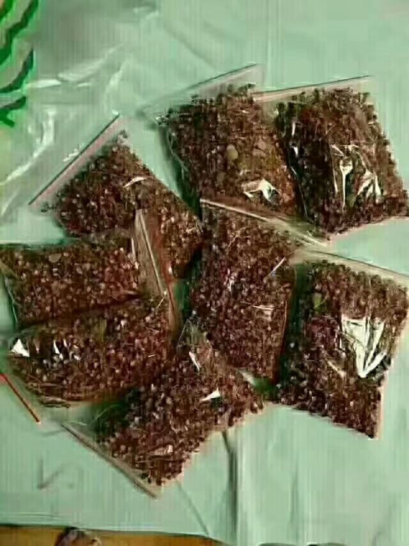 花椒一级干