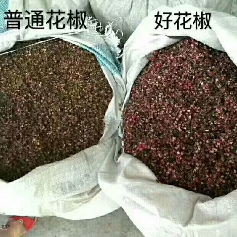 花椒一级干