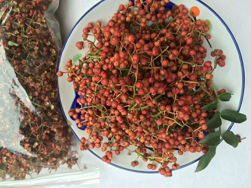 花椒一级干
