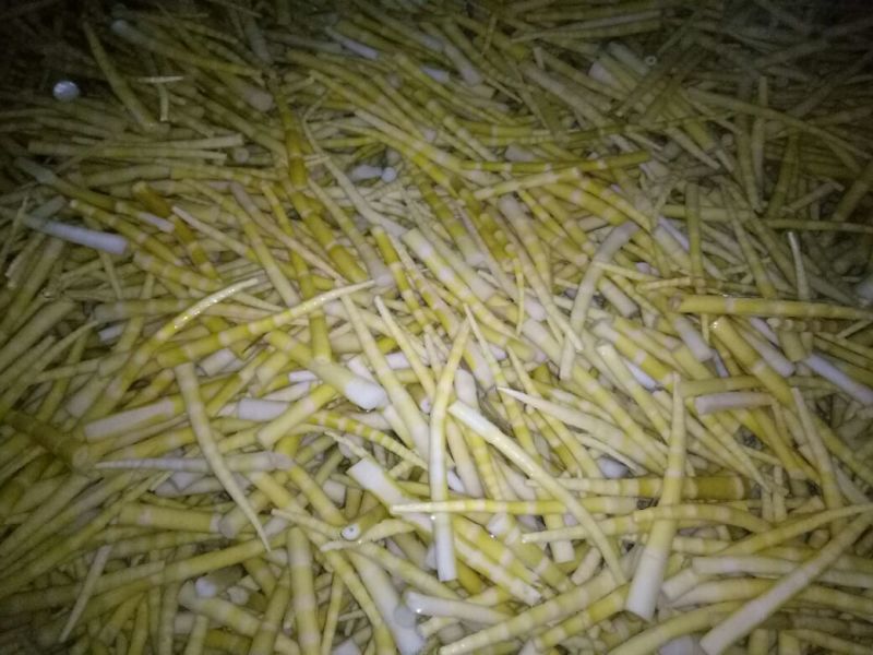 竹笋绿色健康食品