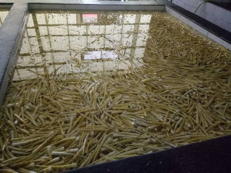 竹笋绿色健康食品