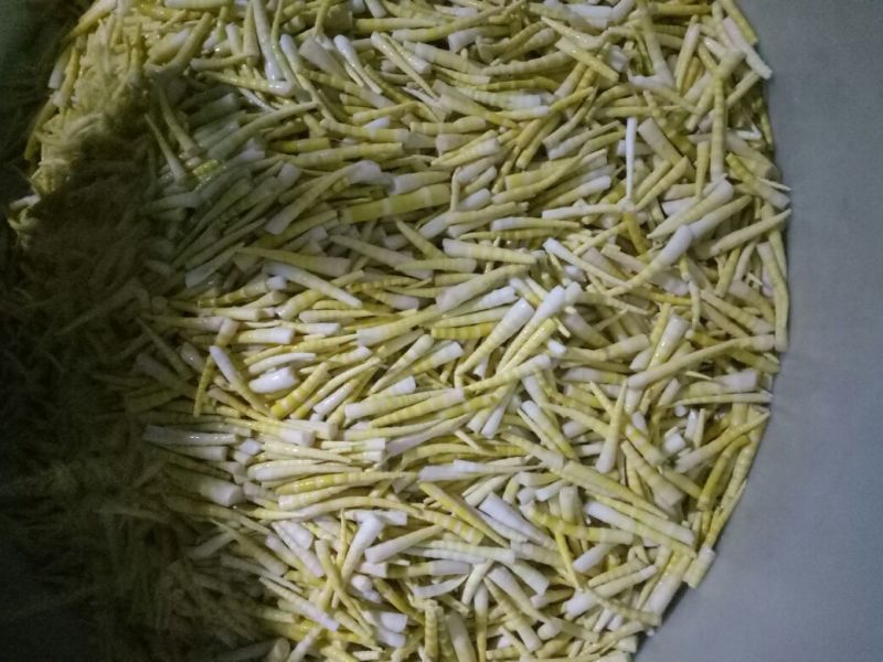 竹笋绿色健康食品