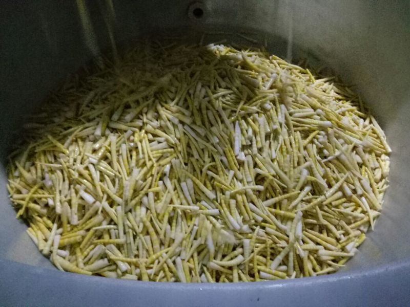 竹笋绿色健康食品