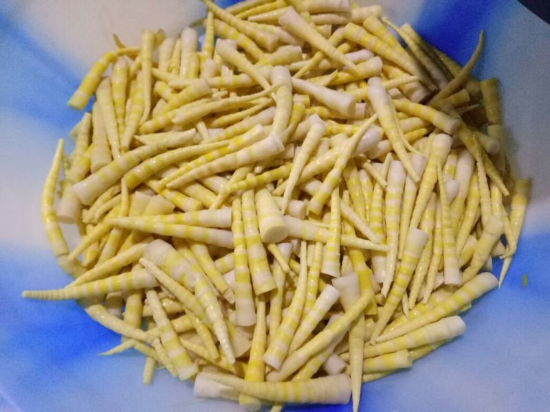 竹笋绿色健康食品