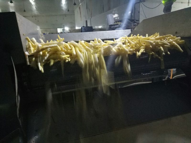 竹笋绿色健康食品