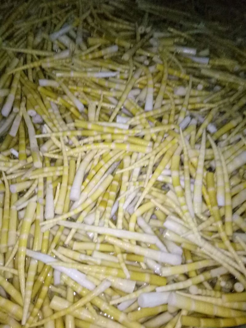 竹笋绿色健康食品
