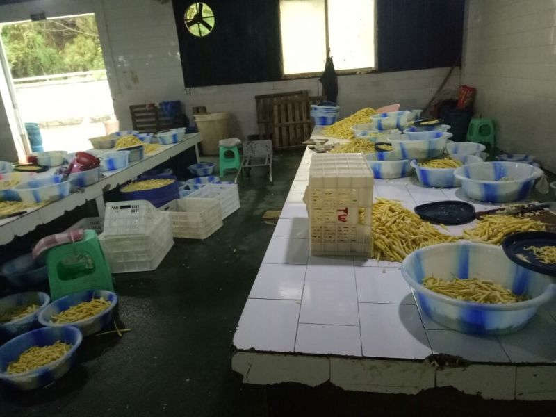 竹笋绿色健康食品