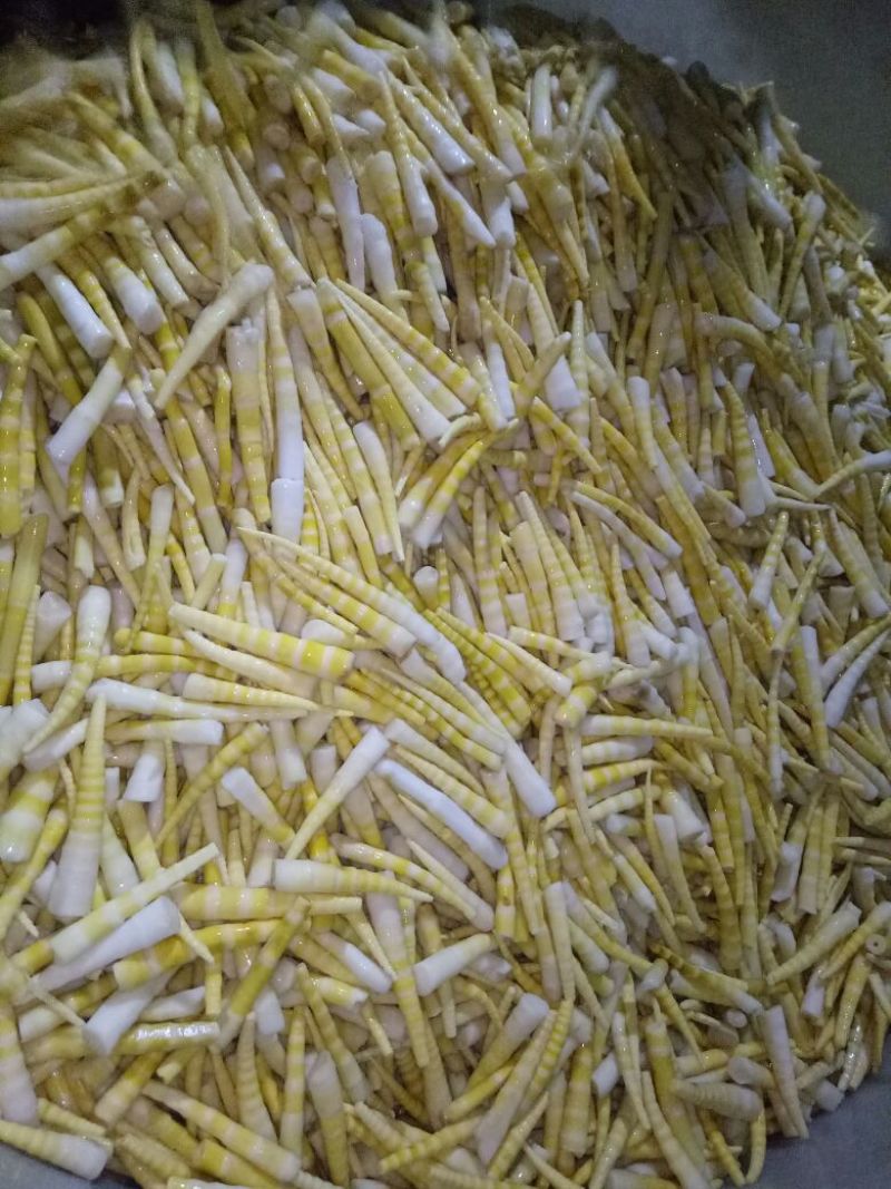 竹笋绿色健康食品