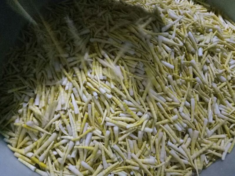 竹笋绿色健康食品