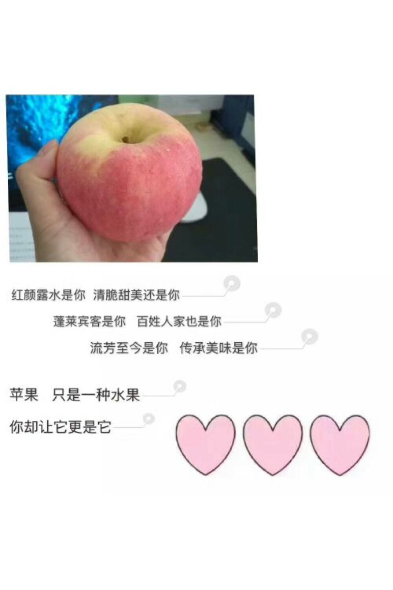 红富士苹果80mm以上纸+膜袋