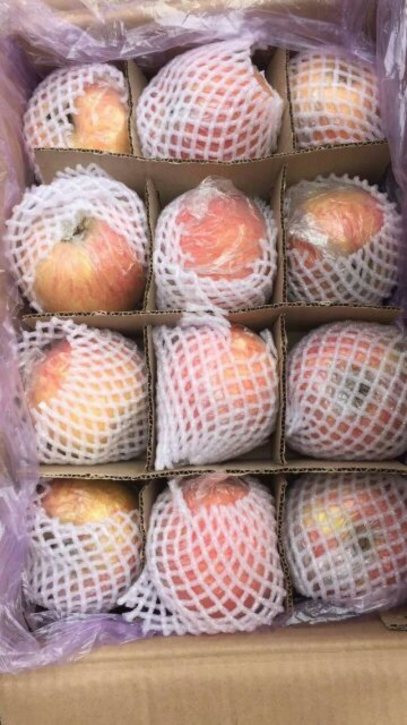 精品山西冰糖心苹果大量供应货源品质保证量大从优