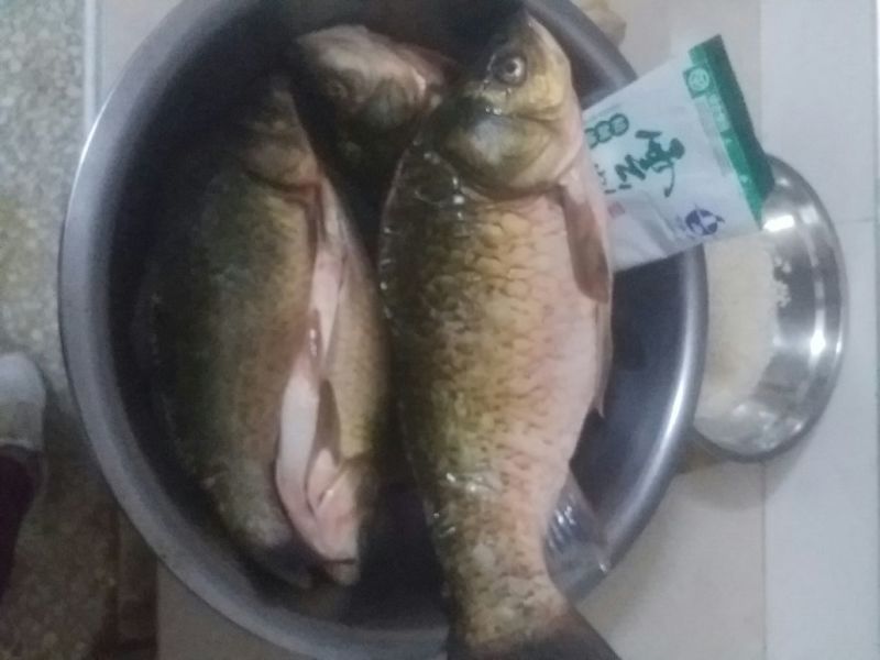 湘云鲫垂钓