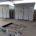 胎菊王散装
