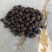 油茶籽99%以上
