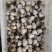草菇2.5cm以上