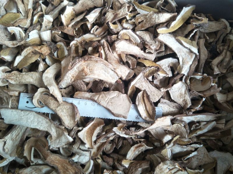 牛肝菌小羊肚菌特级