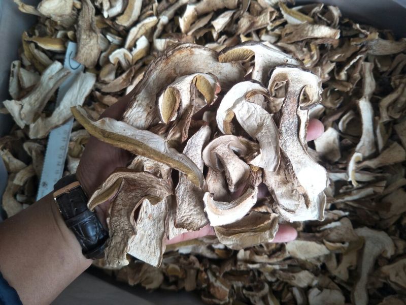 牛肝菌小羊肚菌特级