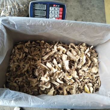 牛肝菌小羊肚菌特级