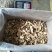 牛肝菌小羊肚菌特级