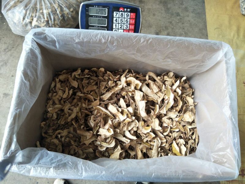 牛肝菌小羊肚菌特级