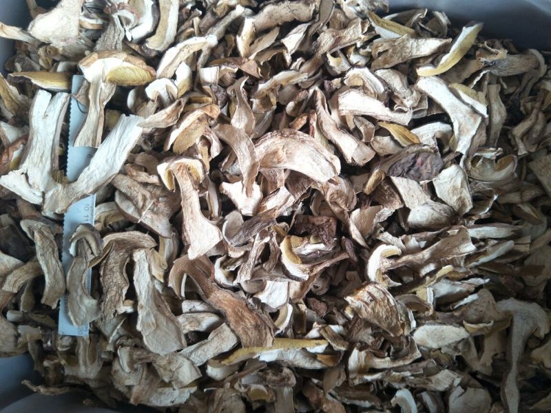 牛肝菌小羊肚菌特级