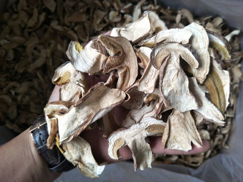 牛肝菌小羊肚菌特级