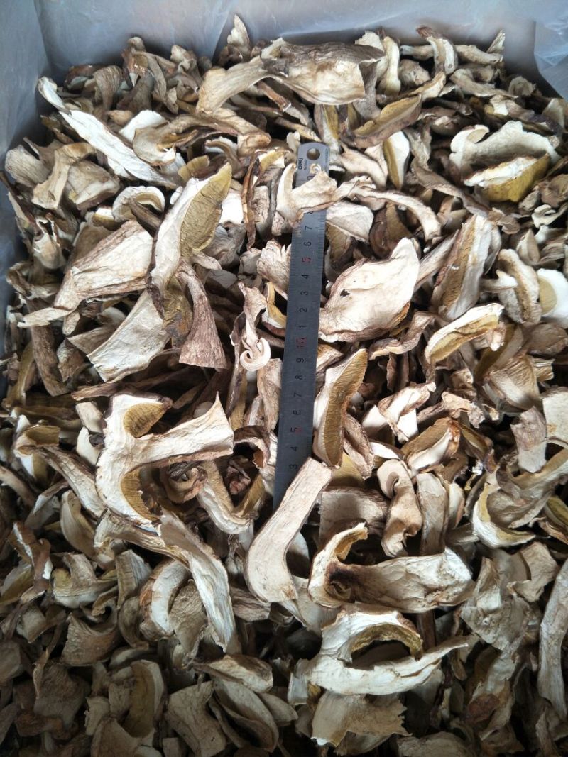 牛肝菌小羊肚菌特级