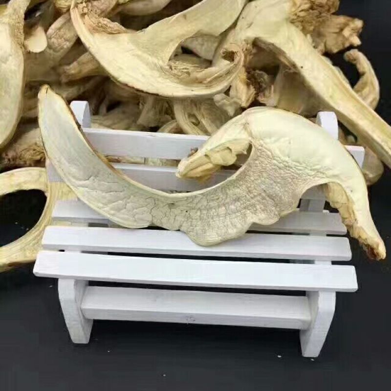 松茸干片