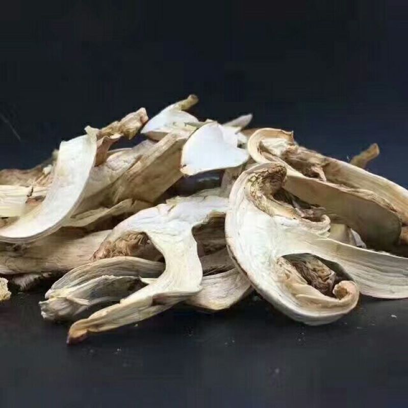 松茸干片