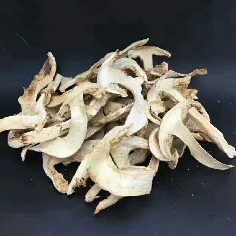 松茸干片