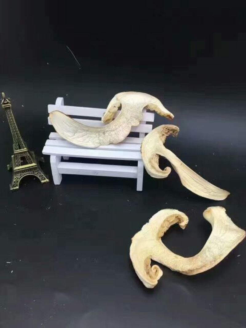 松茸干片