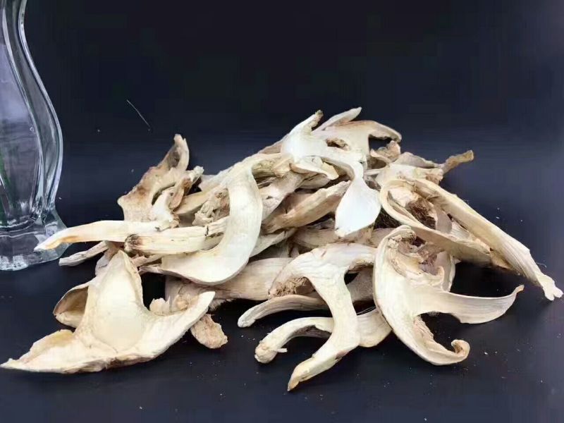 松茸干片