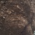 江苏东台纯干鸡粪禽畜粪便干鸡粪40kg