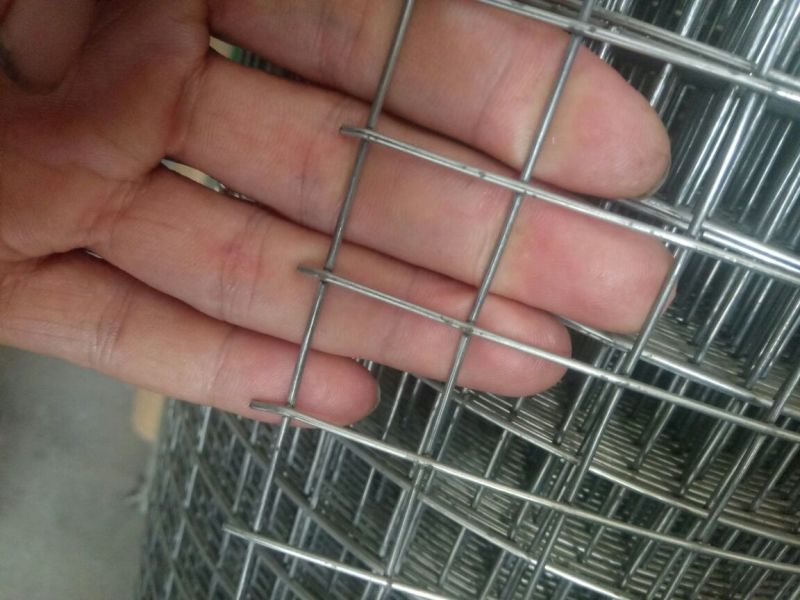 铁丝网养殖网，护栏网，公路护拦围网，铁路护拦围网可以定