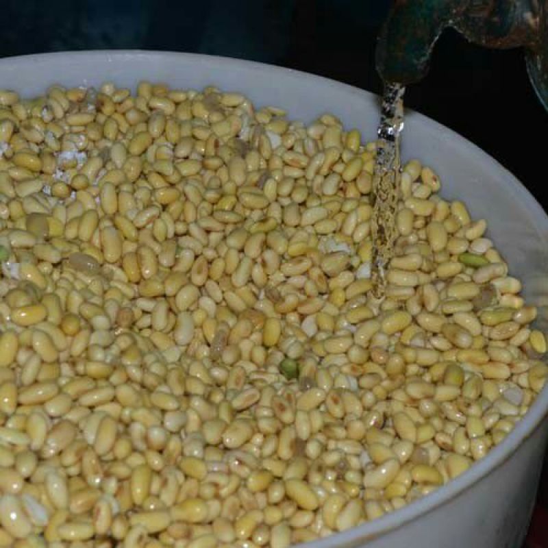豆腐水煮豆腐湖南攸县香干