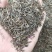 波斯菊种子混色(新种)