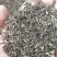 波斯菊种子混色(新种)
