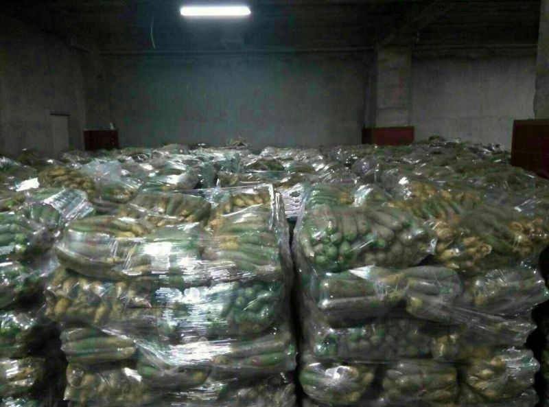 潍县青萝卜1~1.5斤起