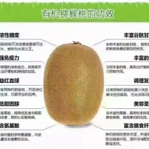 徐香猕猴桃70~90克