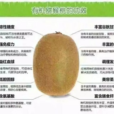 徐香猕猴桃70~90克