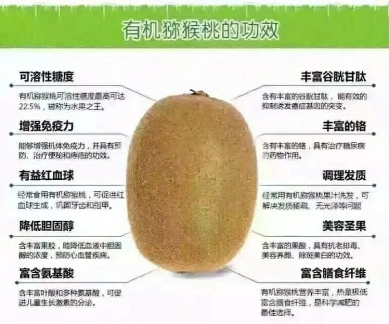 徐香猕猴桃70~90克