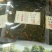 芝麻叶中叶
