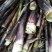 刺竹春笋10cm以下