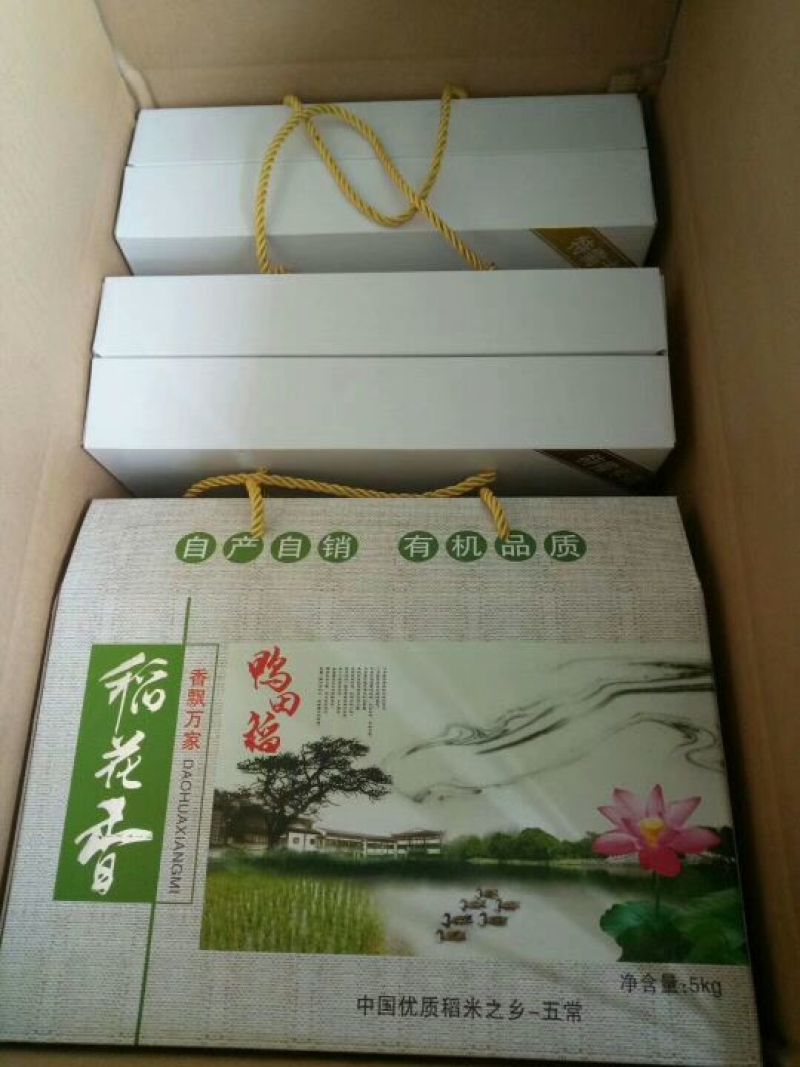 大米新米特级
