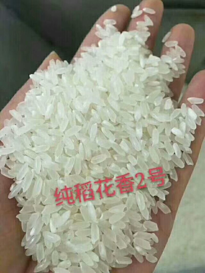大米新米特级