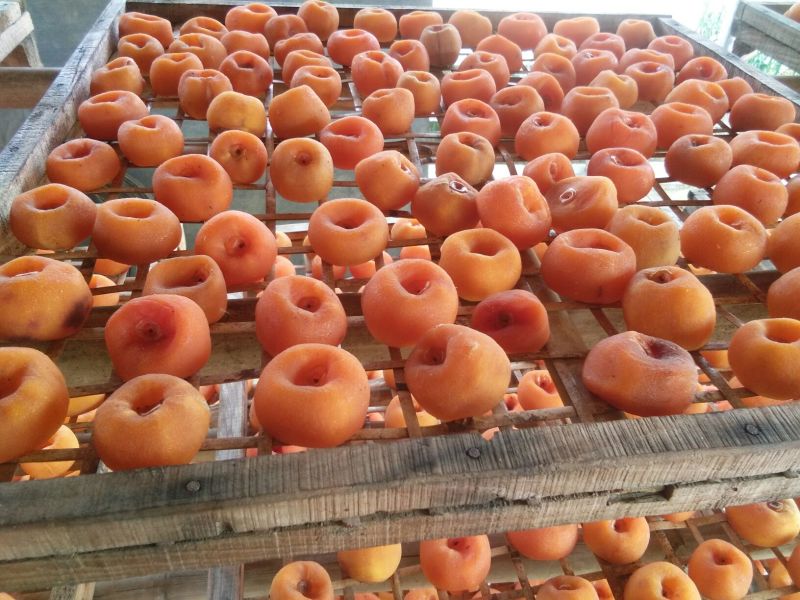 柿饼2两一下中，小