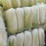 北京三号白菜净菜4~6斤
