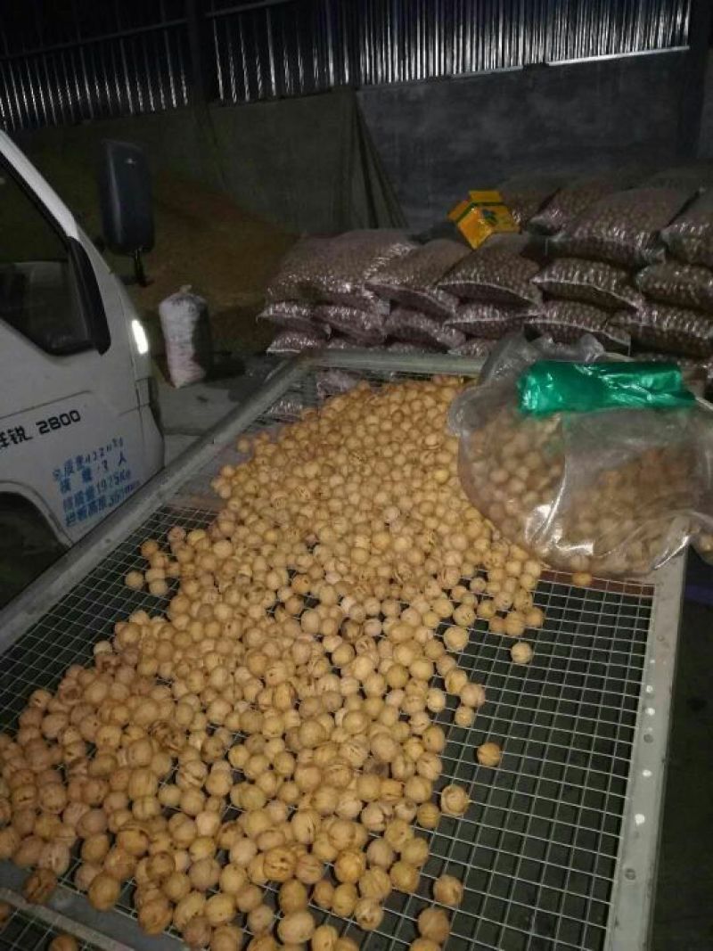 薄皮核桃去皮30mm以上籽仁饱满基地直供